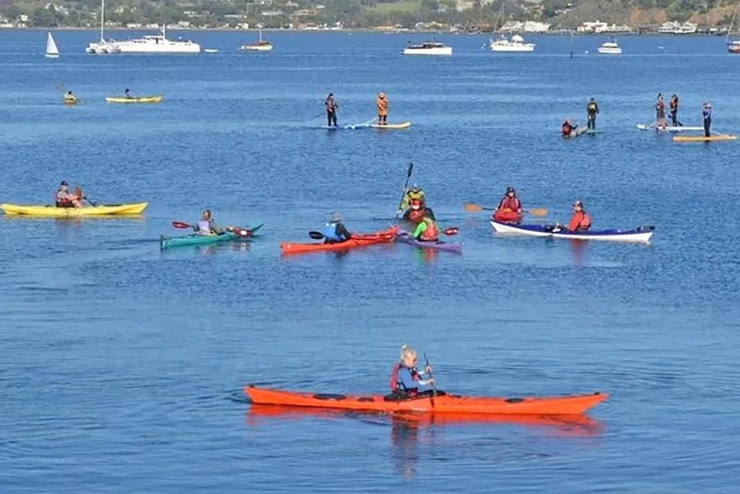 a group of assorted paddlers in a bay