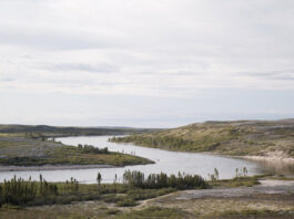 view of the Upper Thelon River in the Northwest Territories