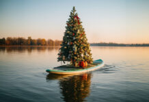 christmas tree on a paddleboard