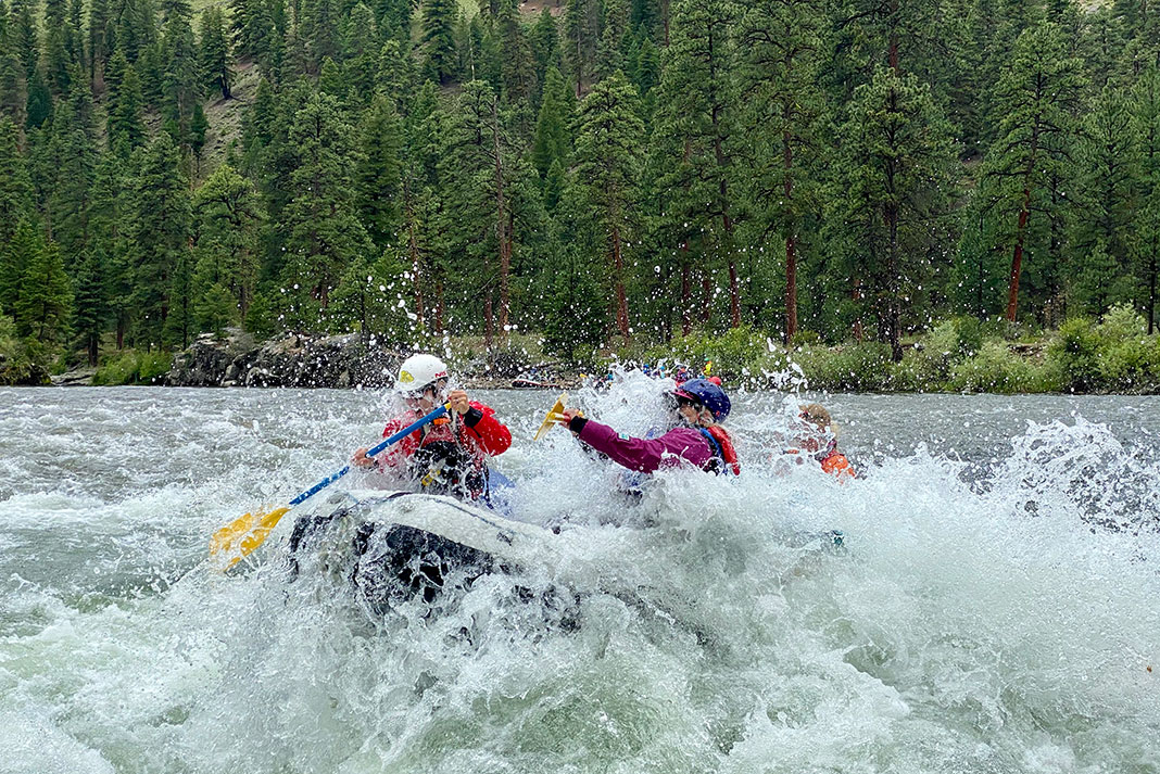 rafters paddle through whitewater on the Salmon River