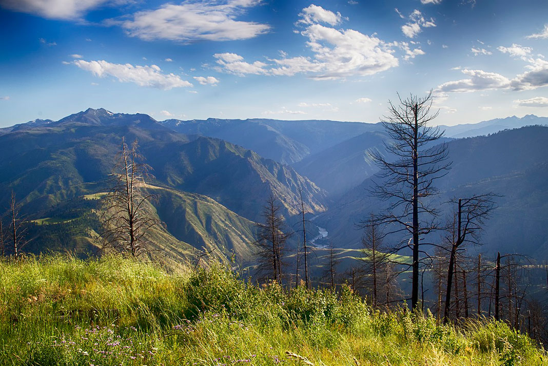 alpine photo looking down into the Salmon River valley