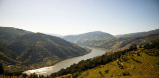 the Douro River in Portugal