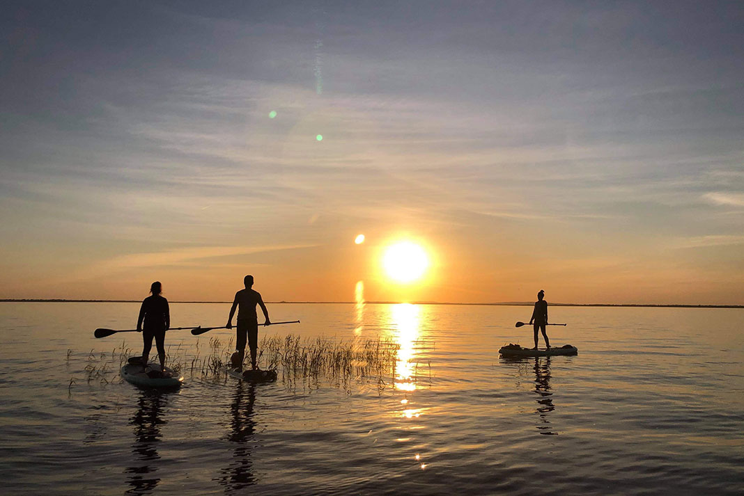 three paddleboarders silhouetted by the sunset
