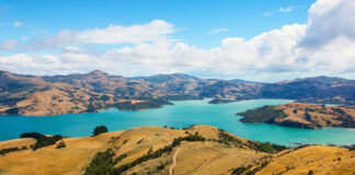 Blue waters and yellow hills in New Zealand