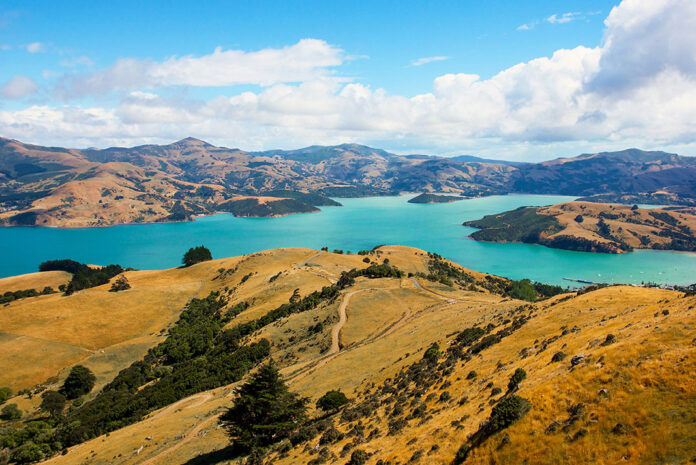 Blue waters and yellow hills in New Zealand