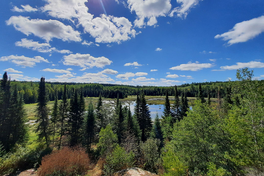 sunny view of the forest and water in Voyageurs National Park