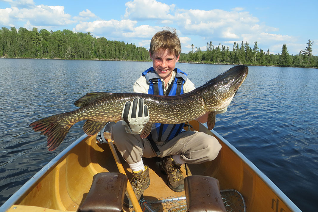 boy holds up a large muskie caught in Voyageurs National Park