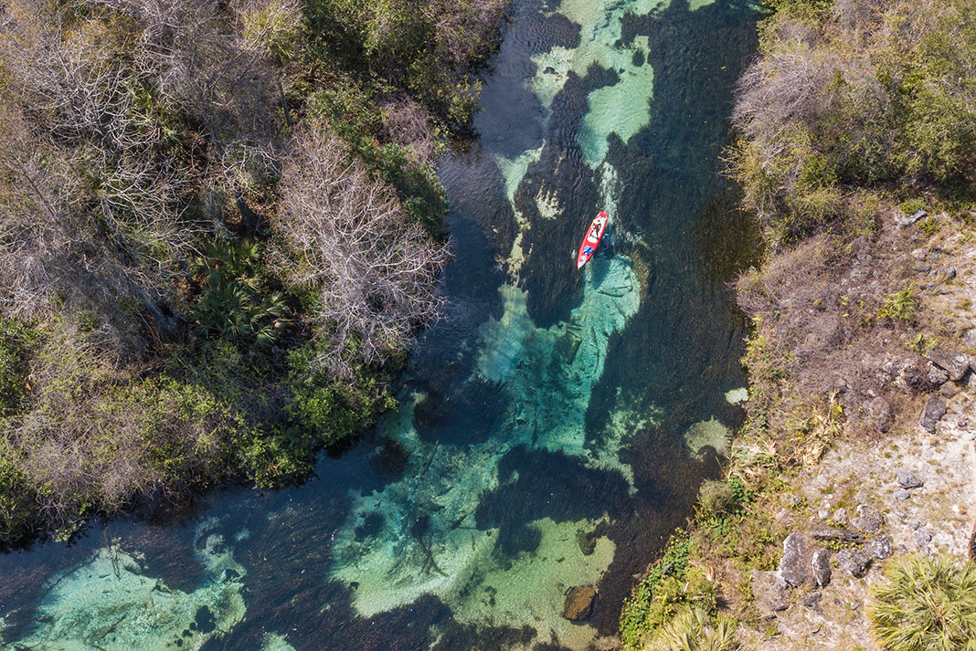 overhead view of a person paddleboarding down a clear river in Florida frequented by manatees