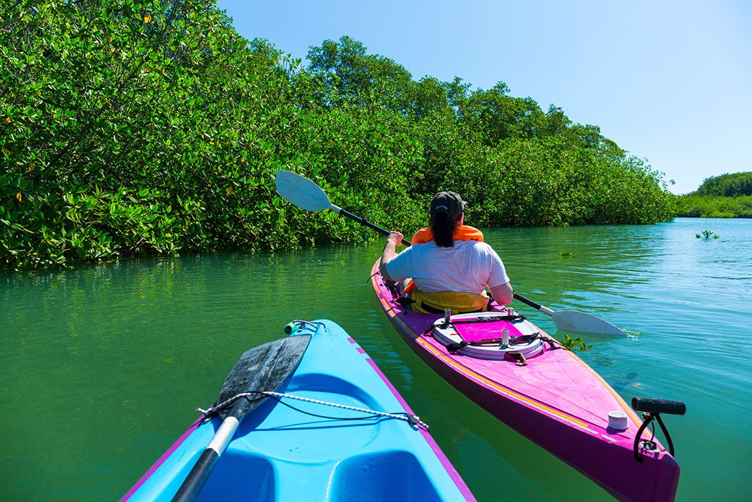 people paddle in green, leafy surroundings in Costa Rica