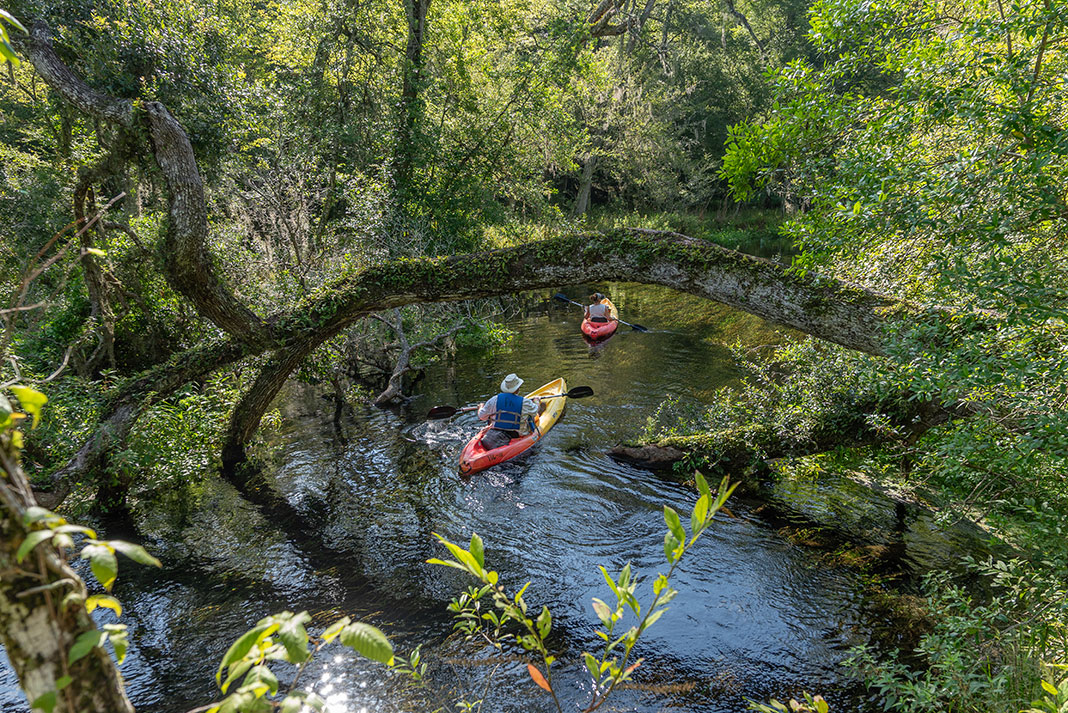 two kayakers paddle along a leafy creek in Florida