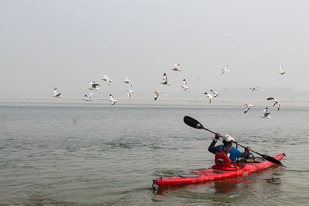 Rency Thomas paddles his kayak on the Ganges River near a flock of seagulls flying