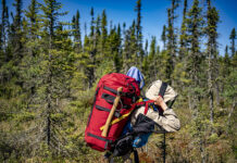 a person carries a canoe pack through buggy boreal forest with help from a tumpline