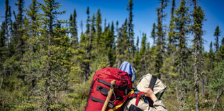 a person carries a canoe pack through buggy boreal forest with help from a tumpline