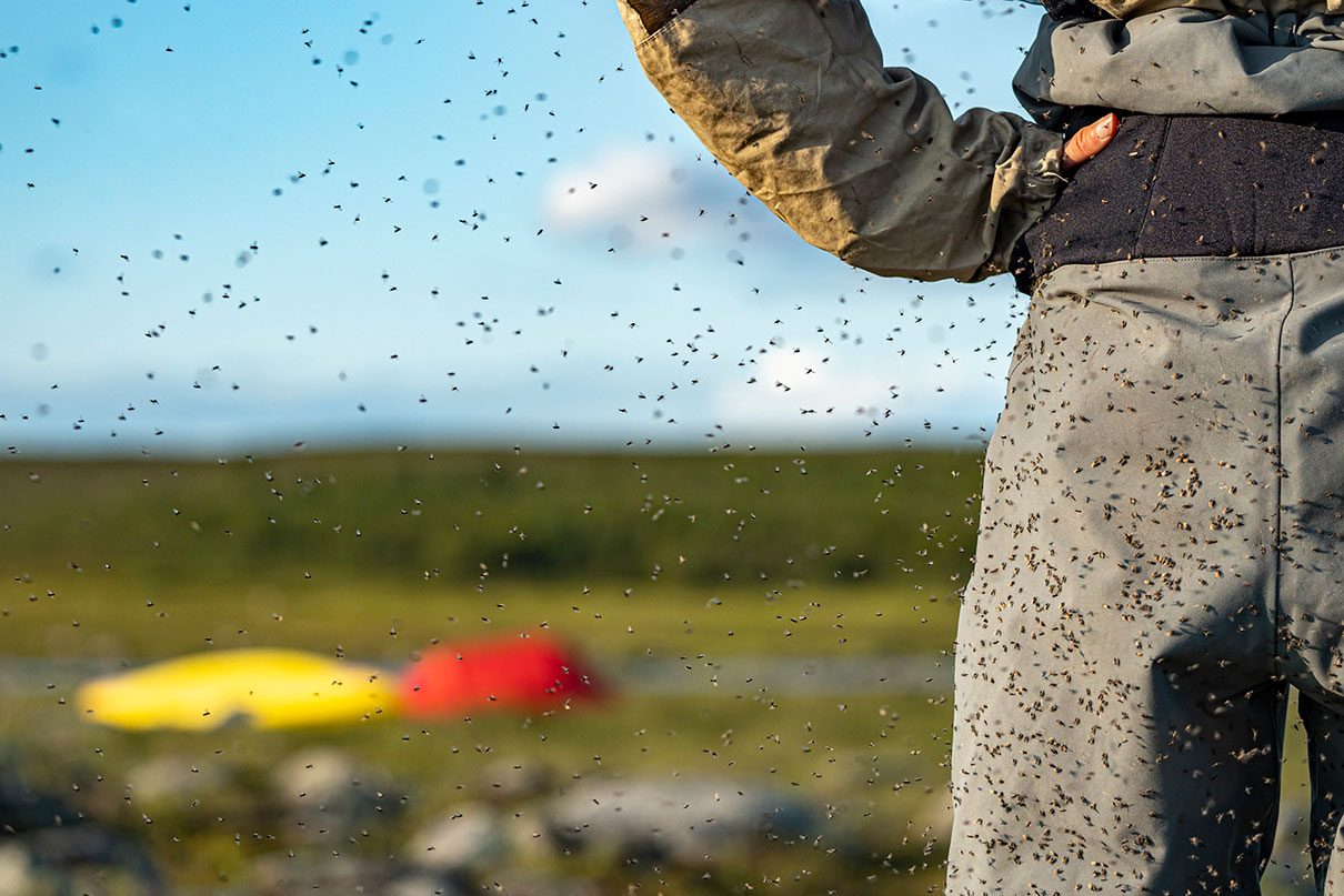 person stands in drysuit with hands on hips while swarmed by blackflies with northern landscape and blurry canoes in background