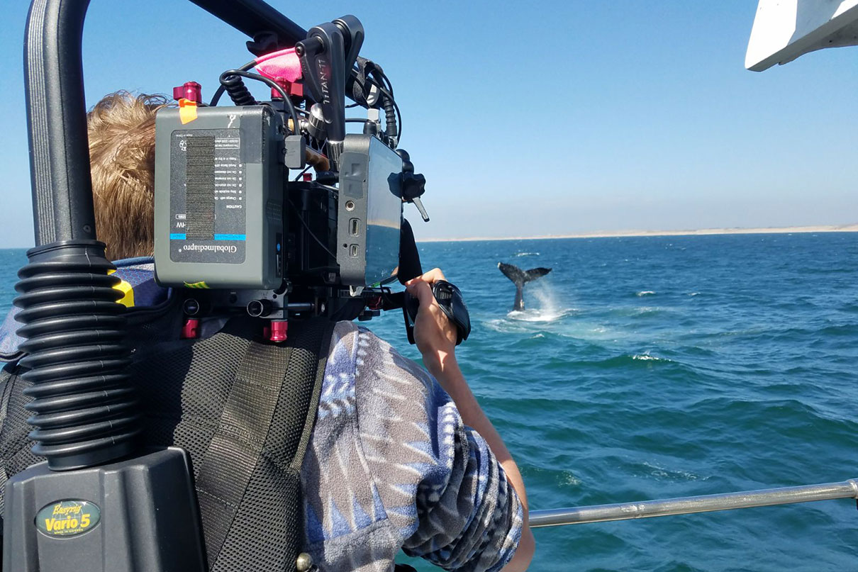 Biologist, author and filmmaker Tom Mustill videotapes a breaching whale from a boat