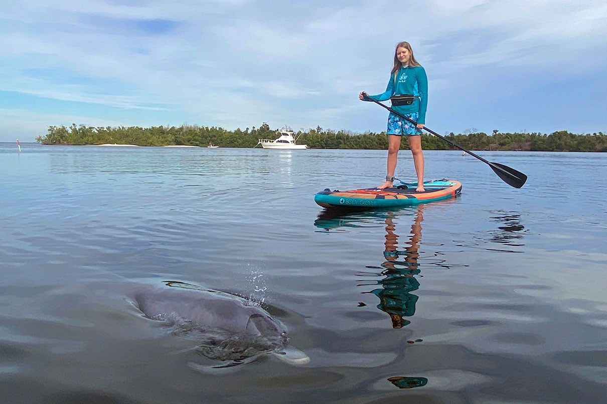 young woman paddleboards near dolphin