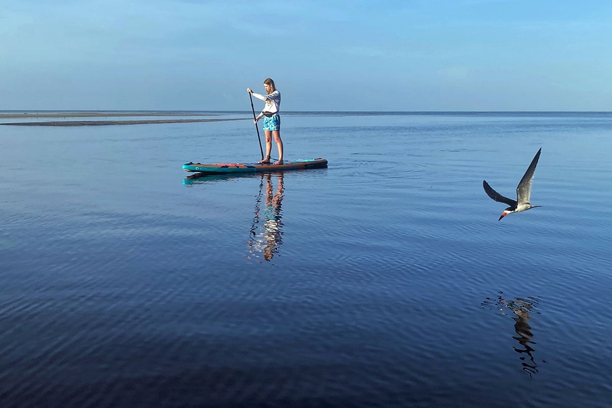 young woman paddleboards near sea bird